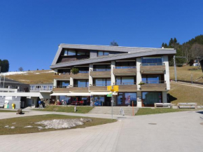 Apartment Margherita Bütler by Interhome Rigi Kaltbad